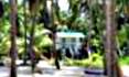 Viaggi e vacanze ai Tropici: Belize